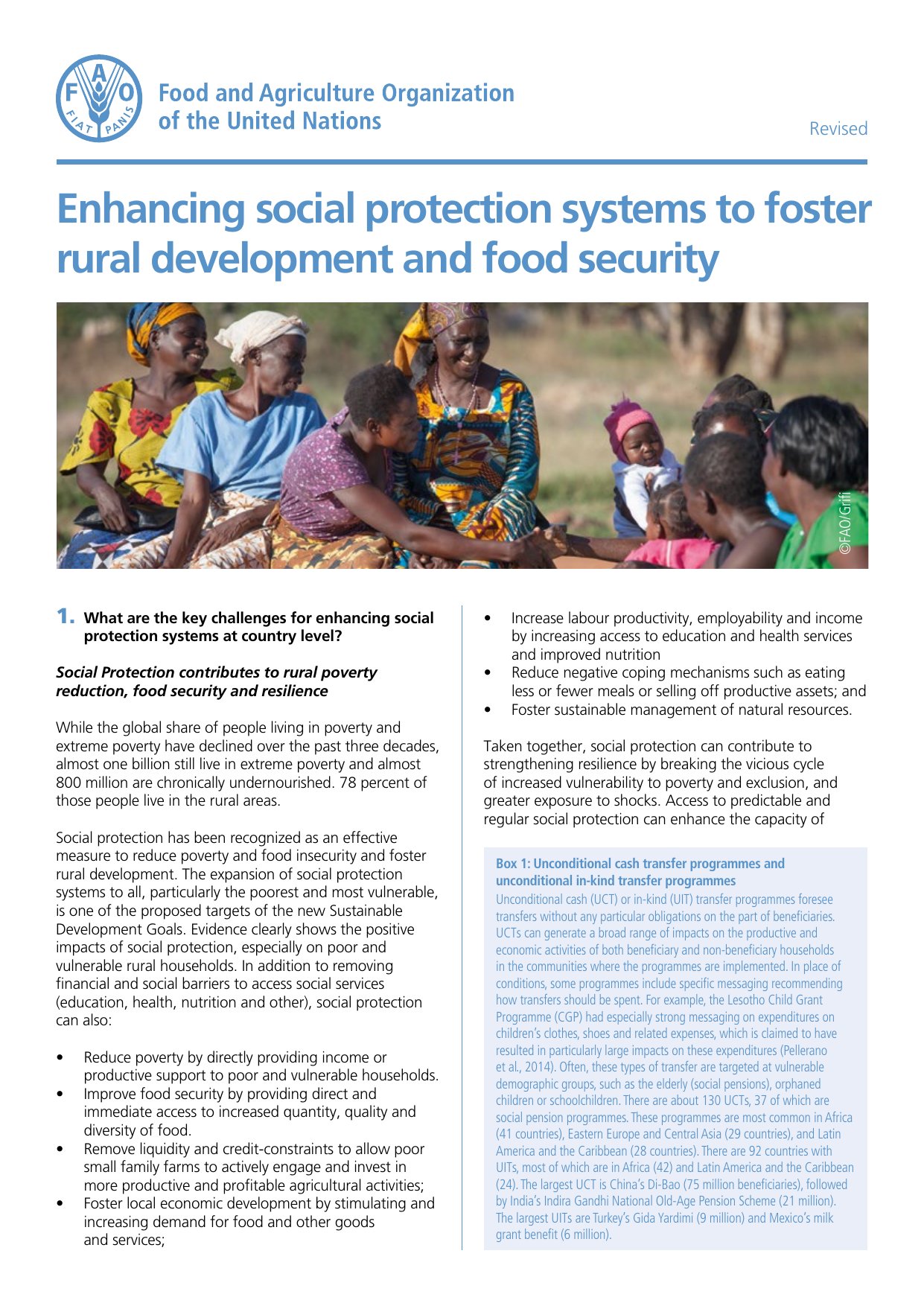 Cover image for Enhancing social protection systems to foster rural development and food security