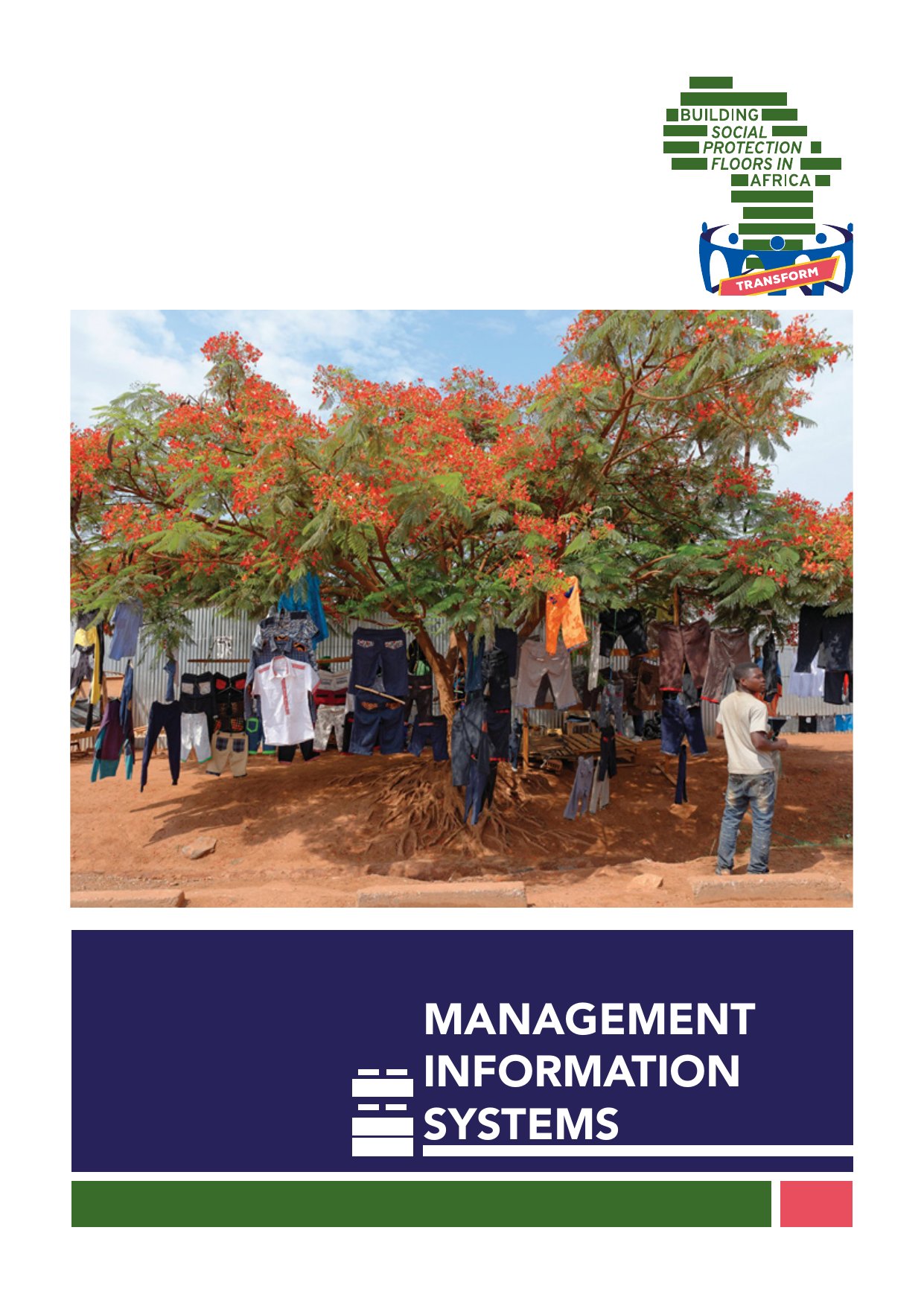 Cover image for Management Information Systems: Transform Curriculum on Building Social Protection Floors in Africa