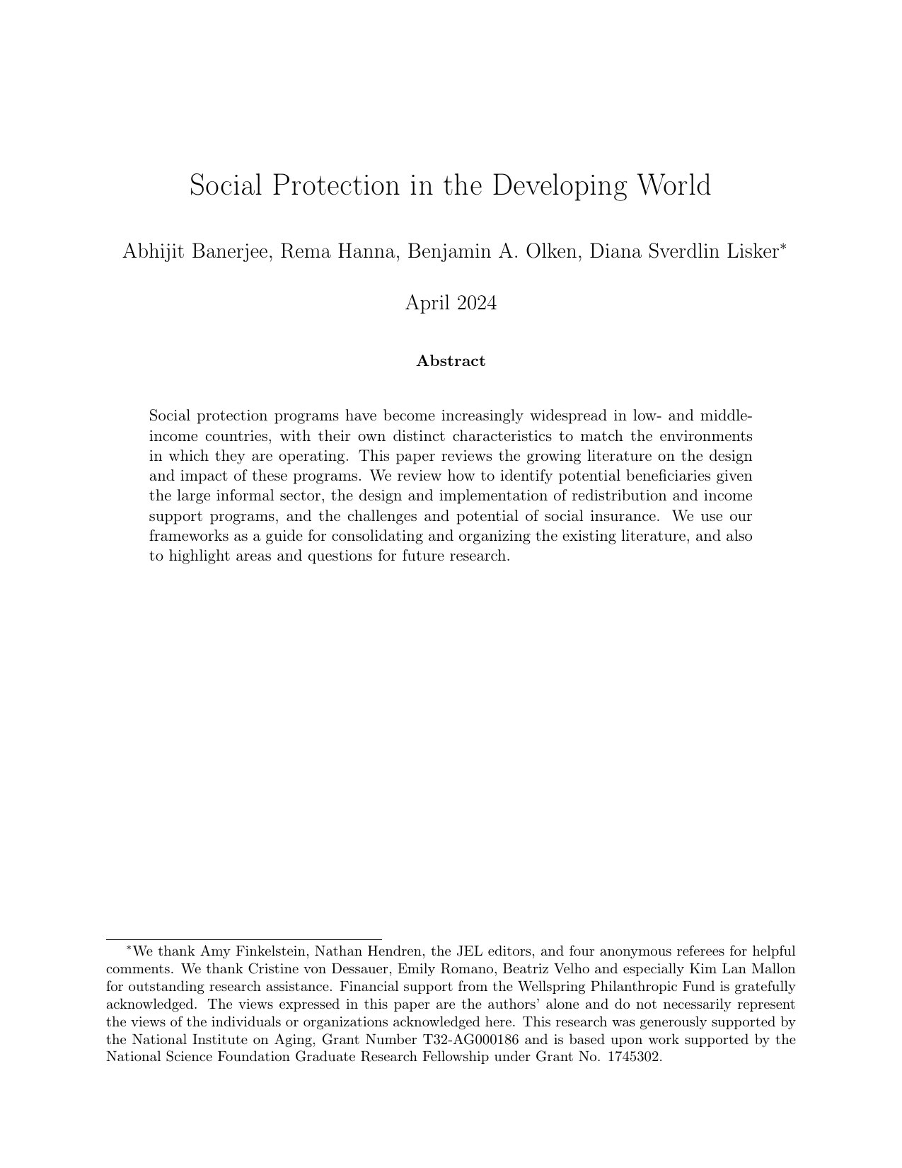 Cover image for Social Protection in the Developing World