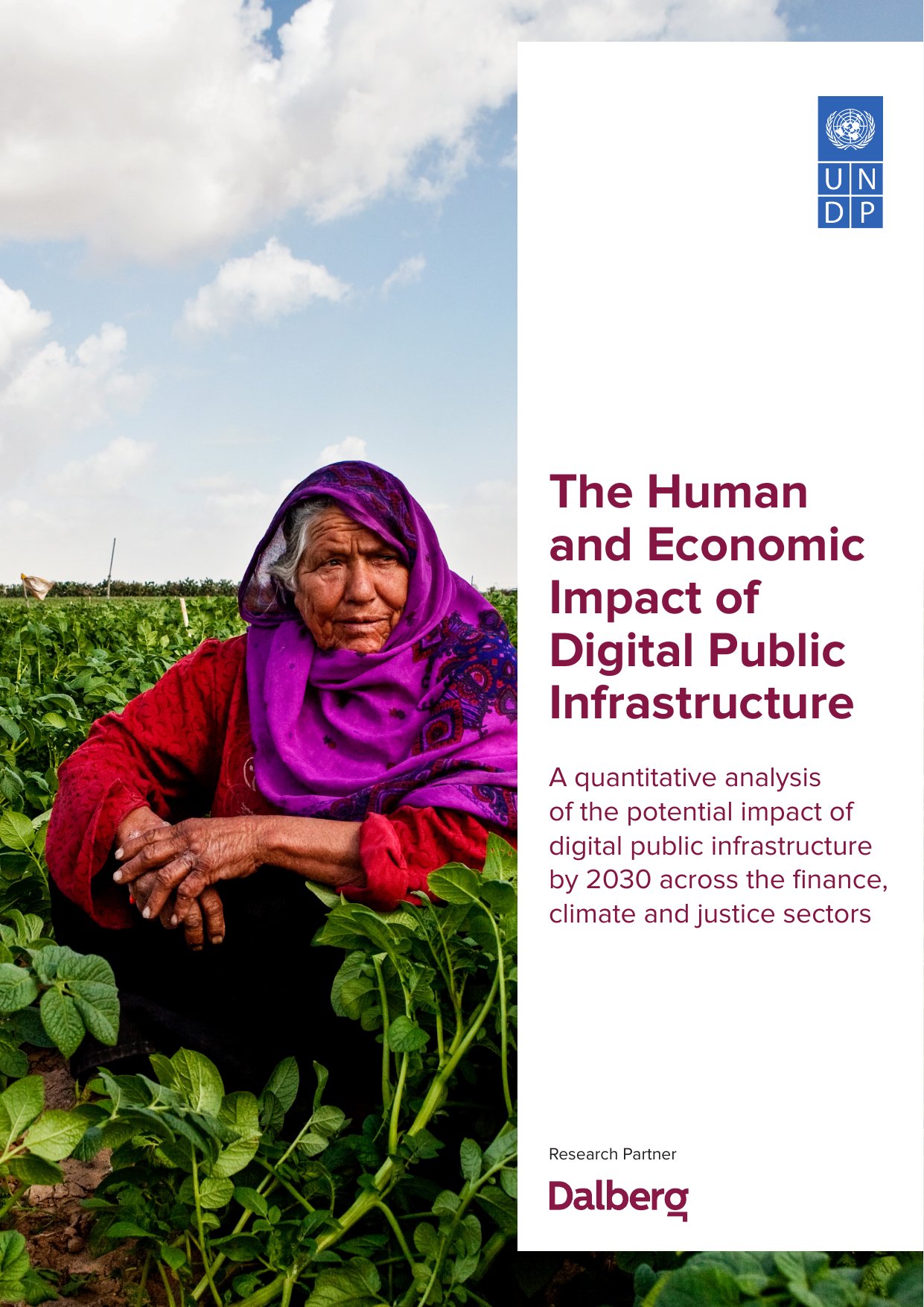 Cover image for The Human and Economic Impact of Digital Public Infrastructure