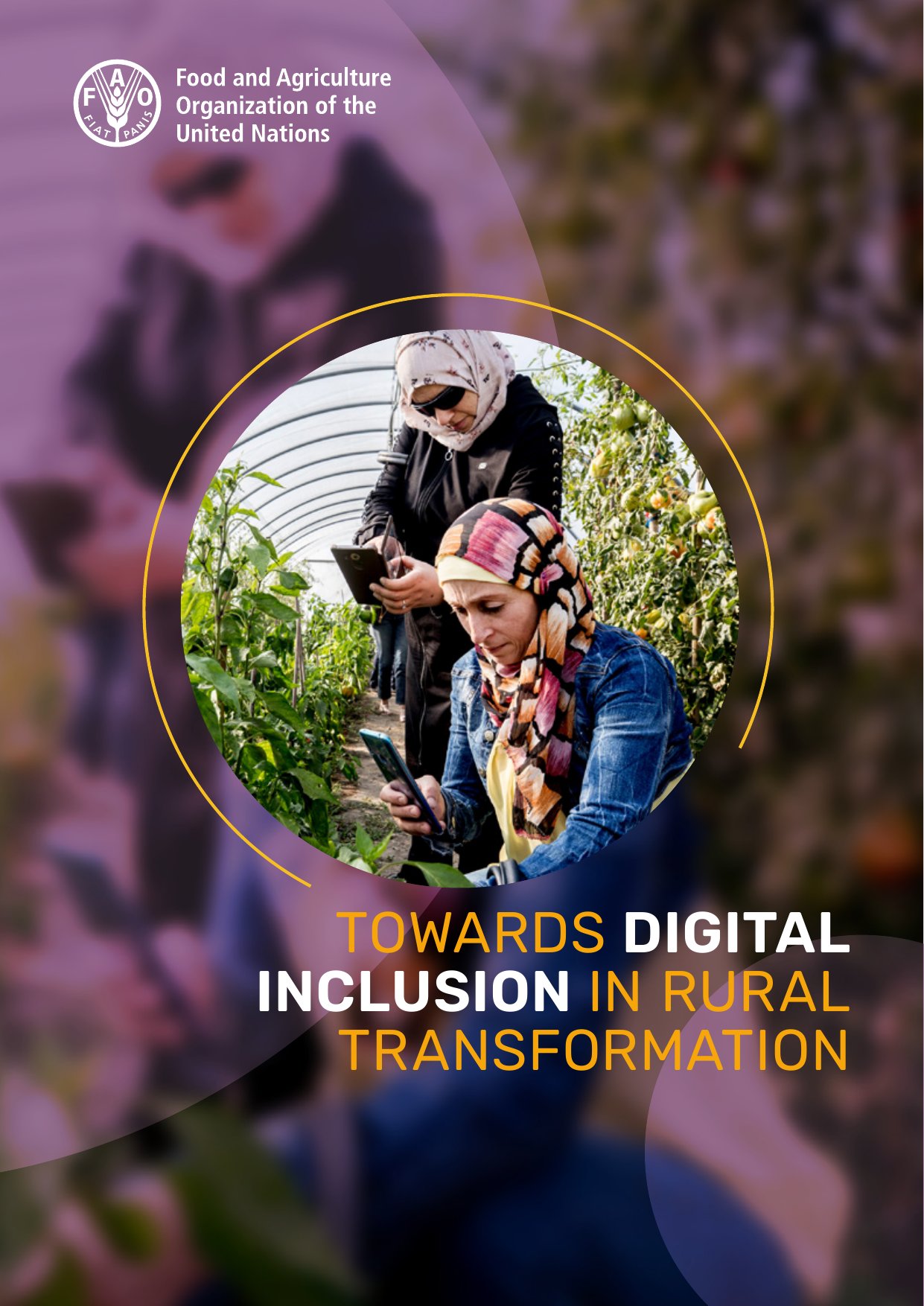 Cover image for Towards Digital Inclusion in Rural Transformation
